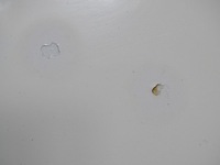 фото thumb №9, Капот крышка двигателя хром seat alhambra i lift fl 2000-2010 la9b