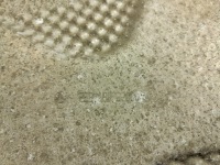 фото thumb №12, Mercedes s w222 lift комплект захист termicznych глушників końcowych