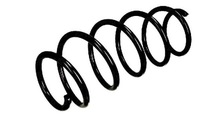 фото thumb №1, Magnum пружина підвіска ford fusion 1.4/1.6 08