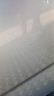 фото thumb №12, Ford mondeo mk4 hb дверь задняя левый 66