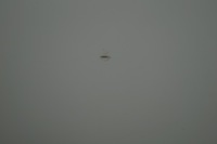 фото thumb №8, Двері ліва лівий перед audi r8 420 ly9c org lak