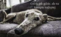 Nerdytec — Couchmaster Cycon3 — подставка с подушками | светодиодная подсветка