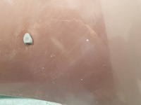 фото thumb №4, Peugeot 307 sw kombi капот передняя kkcd