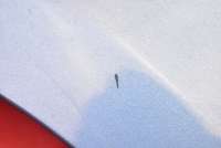 фото thumb №6, Крыло левый перед передний la5r seat ibiza 4 iv 6j 12-15