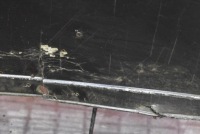 фото thumb №11, Бампер перед передний чёрный pdc audi a6 c6 04-08