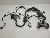 фото thumb №1, Джгут двигуна bmw 7 f01 730d 3.0d 245km n57 7809581