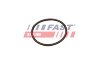фото thumb №2, Ущільнювальне кільце інтеркулер - fast ft49933