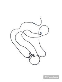 фото thumb №1, Жгут трубопровод ehs daf xf 106 lift 2211130