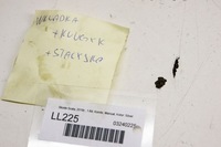 фото thumb №5, Ll225 skoda scala замок зажигания ключ pilot kpl