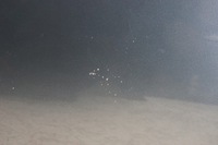 фото thumb №12, Дверь правый перед fiat bravo ii 890/b