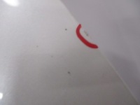 фото thumb №8, Citroen c5 aircross двері ліва передні kwed