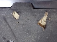 фото thumb №13, Капот audi a4 b8 avant 2008r 3.0 tdi eu l8l8 lz9y 10361