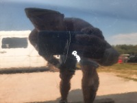 фото thumb №8, Дверь правое задняя задние hyundai santa fe santa-fe ii lata 2006-2009