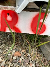 фото thumb №11, Защита плита подвеска honda jazz iii 74641-tf0