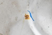 Капот кришка двигуна білий dacia dokker 1 1 рестайлінг  17-21 Оригінал, фото thumb