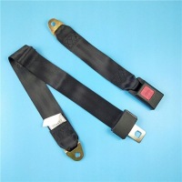 фото thumb №10, Dwupunktowy pas безопасности автомобиля