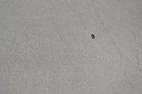 фото thumb №5, Кришка дах soft top кришка багажника mercedes r129 sl 1297500046