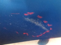 фото thumb №6, Citroen c3 ii дверь левая задние kwgd