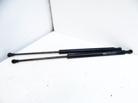 фото thumb №1, Panda ii 03- амортизатори кришки багажника комплект