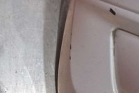 фото thumb №11, Бампер перед передний белый dacia sandero 2 ii 12-20