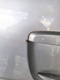 фото thumb №2, Peugeot expert ii lift 12-16 кришка багажника задня ezrc