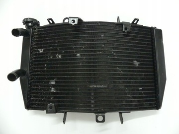 Полем Триумф скорость тройной 1050 11 + CH0 Cooler