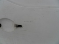 фото thumb №6, Berlingo partner iii 3 дверь боковой левая задняя ewpa