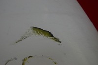 фото thumb №6, Крыло правые перед переднее белый ford transit connect mk1 1 i 02-09