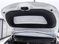 Tesla model y ppsw капот крышка двигателя с Разборки, фото thumb