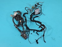 фото thumb №1, Электропроводка lpg газа stag 4 qbox