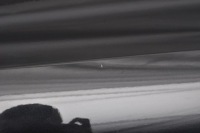 фото thumb №6, Bmw 2 f44 gran coupe gt дверь правый задняя задние 475