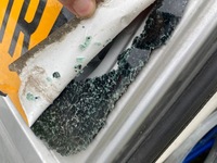 фото thumb №7, Opel movano ii рестайлинг master iii дверь левый зад teknh