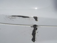 фото thumb №6, Бампер ford transit courier mk2 14-18 перед