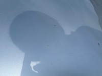 фото thumb №8, Opel astra j капот кришка двигуна [gan z176]