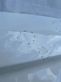 фото thumb №8, Jeep avenger 23- крышка багажника зад
