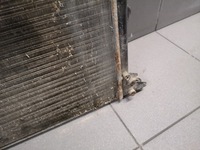 фото thumb №13, Радиаторов воды ford galaxy 1.9 tdi mk1