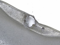 фото thumb №3, Seat toledo ii 98-05 захист теплова