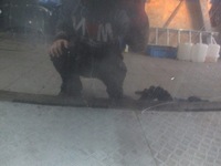 фото thumb №10, Капот opel vectra c z20r