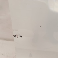 фото thumb №3, Дверь правое перед kia niro 16-22