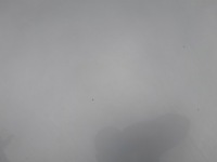 Купить Audi a4 b8 рестайлинг  капот крышка двигателя перед lx7w серебристая, фото thumb