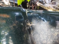 Капот volvo 850 кришка двигуна Зі Шроту, фото thumb