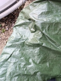 фото thumb №9, Smart fortwo i 450 стекло кузовная правые зад 253104r 0000652v011