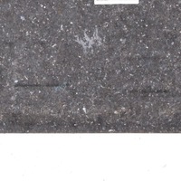 фото thumb №10, Bmw x1 f48 захист теплова підлога багажника