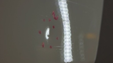 фото thumb №12, Fiat 500 двері ліві d2027