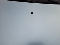 фото thumb №9, Honda civic vii капот кришка двигуна