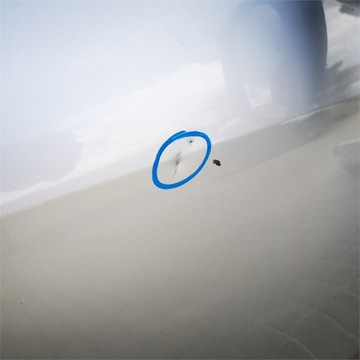 фото thumb №6, Toyota corolla verso рестайлінг 09-12 двері праві перед