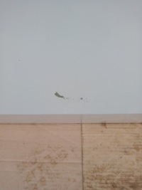 фото thumb №1, Двері передні перед праве правий bmw x6 g06 m-pakiet