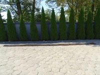 фото thumb №5, Daf lf 45 55 01-13 рама левая балка bok 19,5 949x26 cm