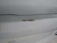 фото thumb №11, Крышка багажника задняя kia ceed iii 18-20 hb 5d + накладка