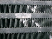 Купить Интеркулер радиатор воздуха nissan cabstar 2.5 d, фото thumb